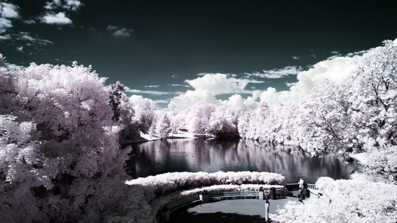 摄影技巧:红外摄影下的绿色变成了雪景